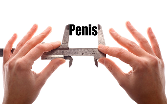 um pequeno pênis em homens, como isso afeta a vida sexual